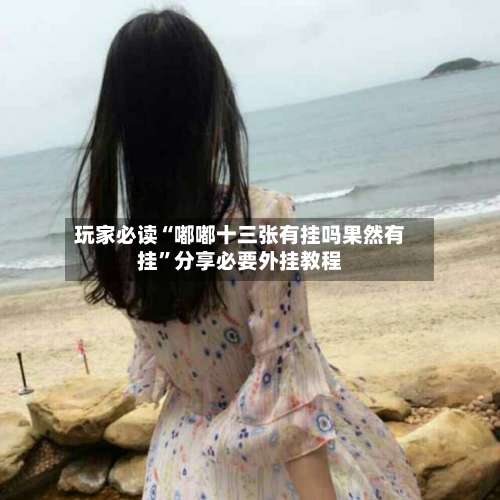 玩家必读“嘟嘟十三张有挂吗果然有挂”分享必要外挂教程-第1张图片