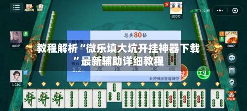 教程解析“微乐填大坑开挂神器下载		”最新辅助详细教程-第1张图片