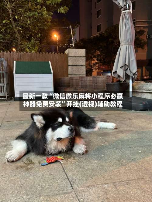 最新一款“微信微乐麻将小程序必赢神器免费安装”开挂(透视)辅助教程-第2张图片