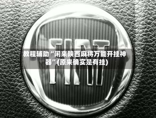 教程辅助“闲来陕西麻将万能开挂神器	”(原来确实是有挂)-第1张图片