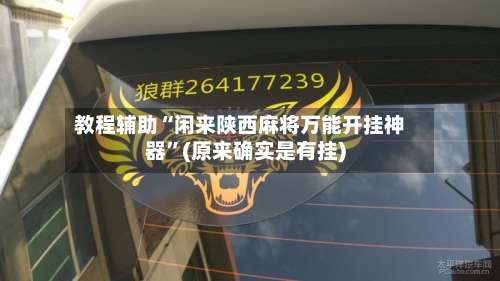 教程辅助“闲来陕西麻将万能开挂神器	”(原来确实是有挂)-第2张图片