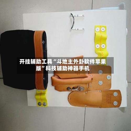 开挂辅助工具“斗地主外卦软件苹果版	”科技辅助神器手机-第1张图片