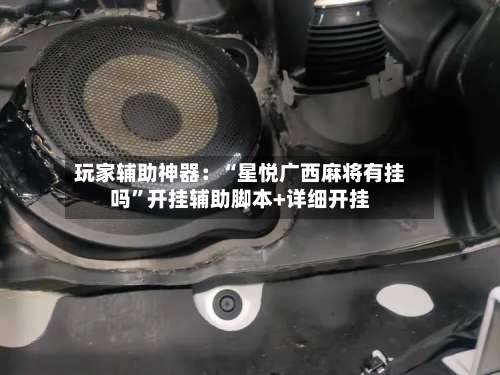 玩家辅助神器：“星悦广西麻将有挂吗		”开挂辅助脚本+详细开挂-第3张图片