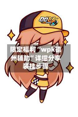 限定福利“wpk德州辅助	”详细分享装挂步骤-第2张图片