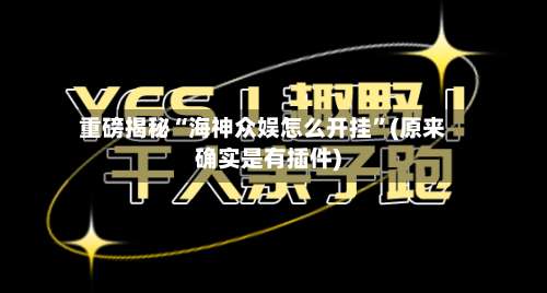重磅揭秘“海神众娱怎么开挂”(原来确实是有插件)-第3张图片