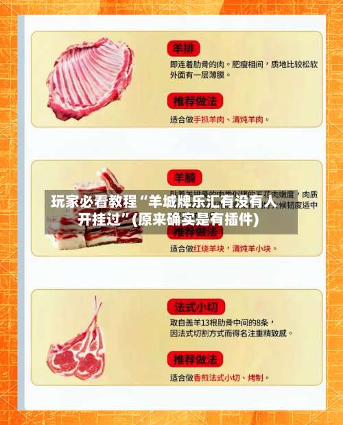 玩家必看教程“羊城牌乐汇有没有人开挂过”(原来确实是有插件)-第2张图片