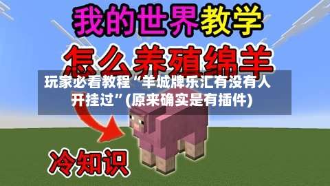 玩家必看教程“羊城牌乐汇有没有人开挂过		”(原来确实是有插件)-第1张图片