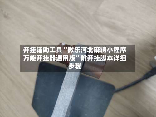 开挂辅助工具“微乐河北麻将小程序万能开挂器通用版		”附开挂脚本详细步骤-第2张图片