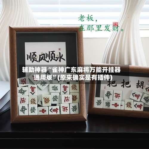 辅助神器“雀神广东麻将万能开挂器通用版	”(原来确实是有插件)-第2张图片