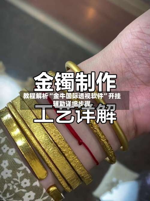 教程解析“金牛国际透视软件		”开挂辅助详细步骤-第2张图片