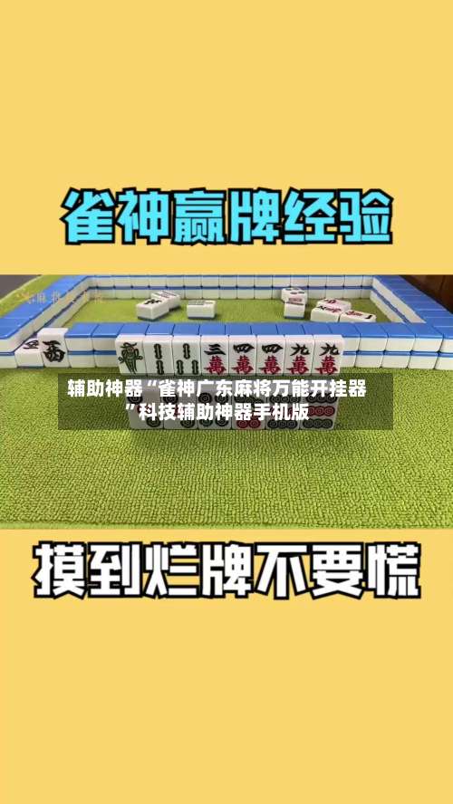 辅助神器“雀神广东麻将万能开挂器	”科技辅助神器手机版-第1张图片