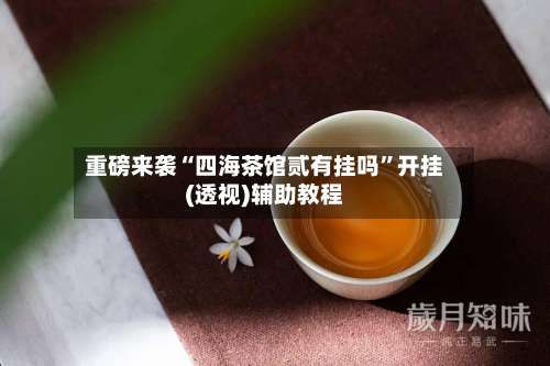 重磅来袭“四海茶馆贰有挂吗”开挂(透视)辅助教程-第3张图片