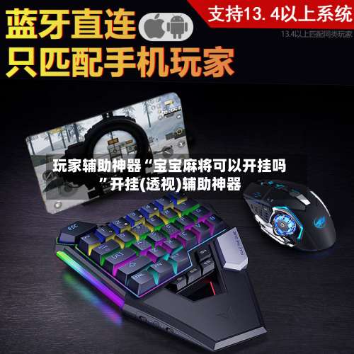 玩家辅助神器“宝宝麻将可以开挂吗	”开挂(透视)辅助神器-第1张图片
