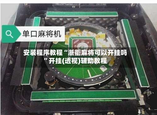 安装程序教程“浙衢麻将可以开挂吗”开挂(透视)辅助教程-第3张图片