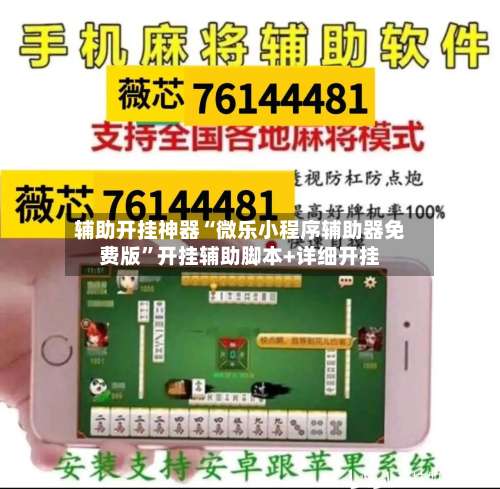 辅助开挂神器“微乐小程序辅助器免费版	”开挂辅助脚本+详细开挂-第2张图片