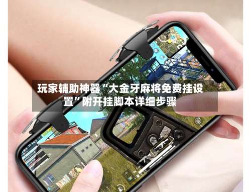 玩家辅助神器“大金牙麻将免费挂设置		”附开挂脚本详细步骤-第3张图片
