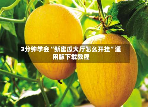 3分钟学会“新蜜瓜大厅怎么开挂”通用版下载教程-第2张图片