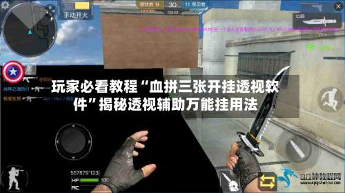玩家必看教程“血拼三张开挂透视软件”揭秘透视辅助万能挂用法-第2张图片