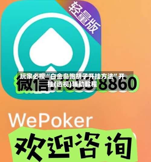 玩家必搜“白金岛跑胡子开挂方法	”开挂(透视)辅助教程-第2张图片