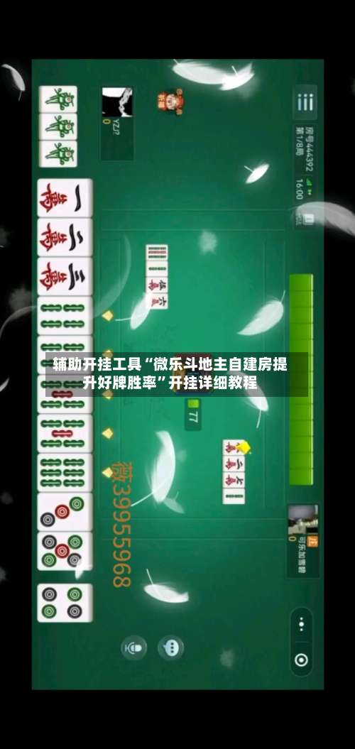 辅助开挂工具“微乐斗地主自建房提升好牌胜率”开挂详细教程-第3张图片