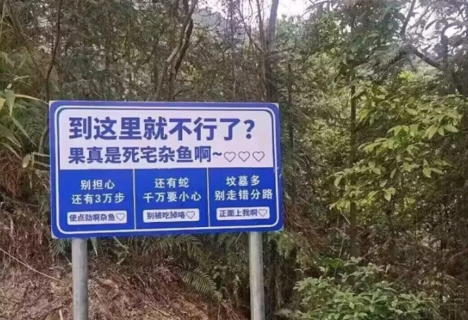 今日盘点“万能透视看牌器游戏特色”分享真的有挂给你-第1张图片