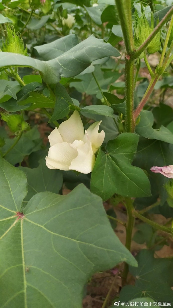 分享热点“德州胜率20%计算公式详解”详细分享开挂-第1张图片