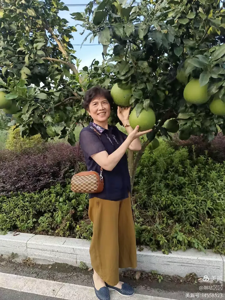查到实测辅助“乐乐川南字牌有没有挂”分享装挂详细步骤-第1张图片