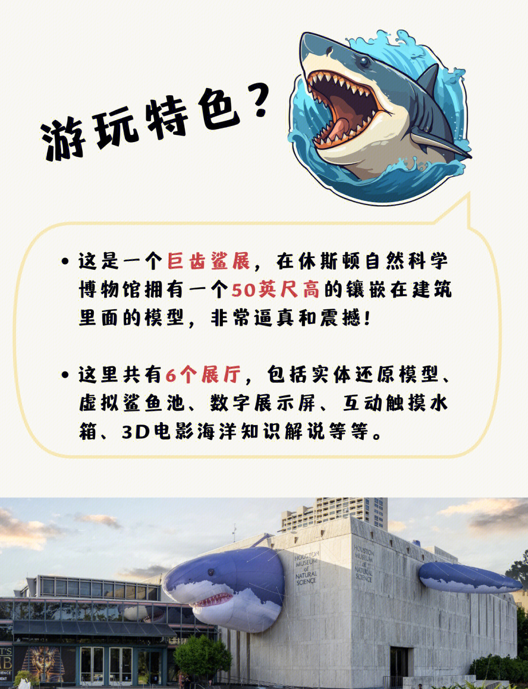 给大家科普一下“鲨鱼互动秦皇岛麻将有挂吗”分享装挂详-第2张图片