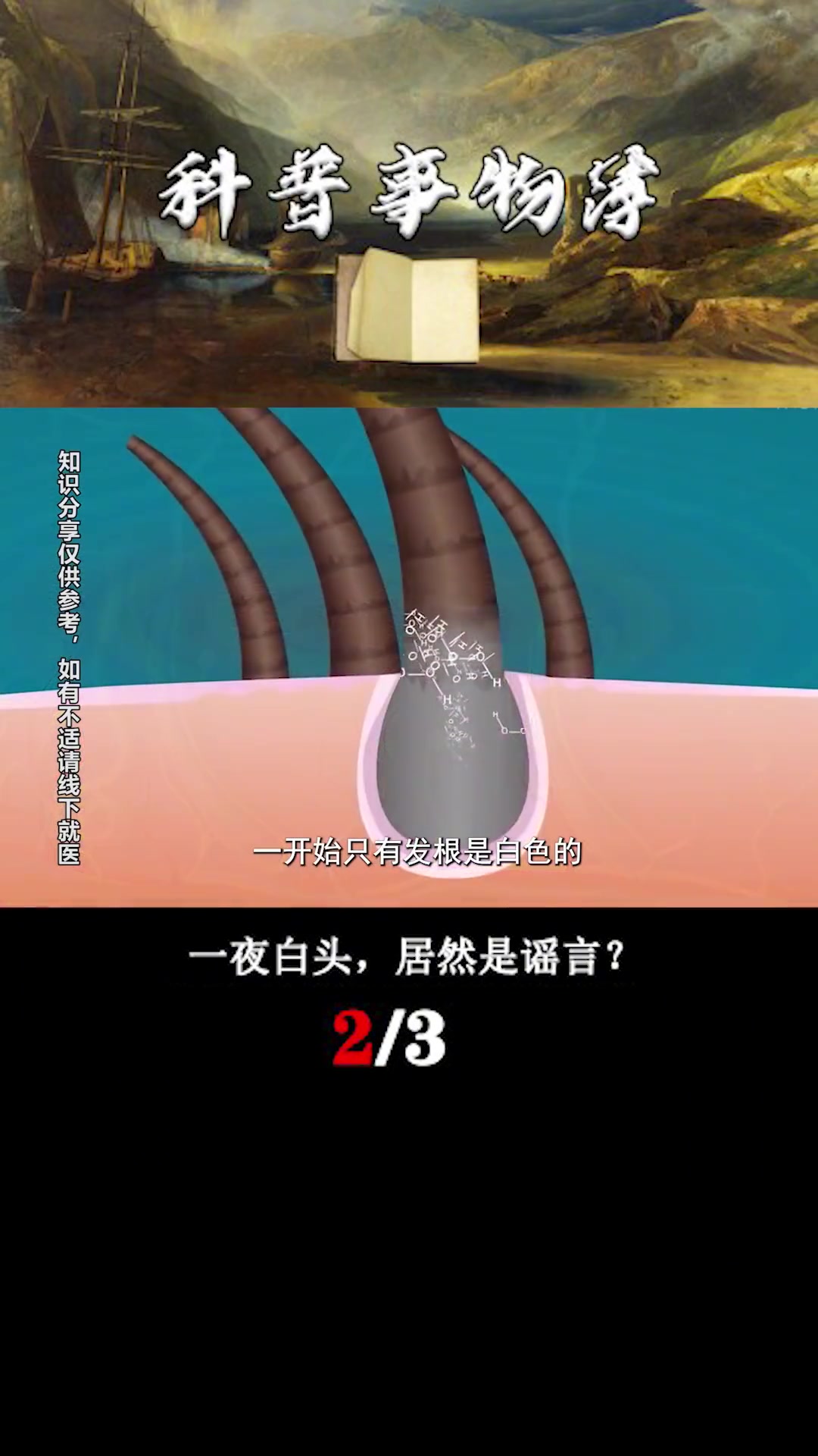 科普一下“白金岛免费挂	”确实真的有挂-第3张图片