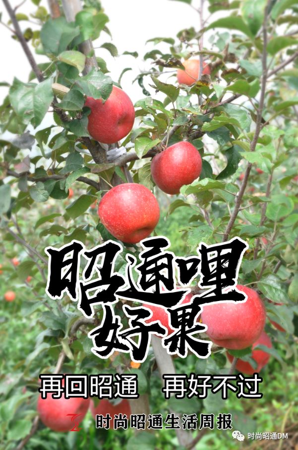 查到实测辅助“镇雄关春天控制牌怎么玩”实际有挂-第1张图片