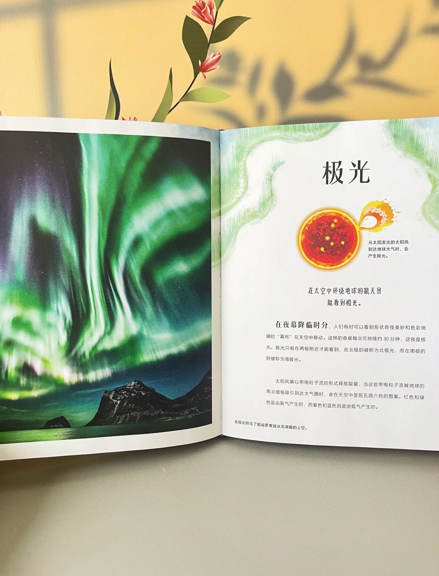 必看科普“够级上山能挂王吗”的确是有挂-第1张图片