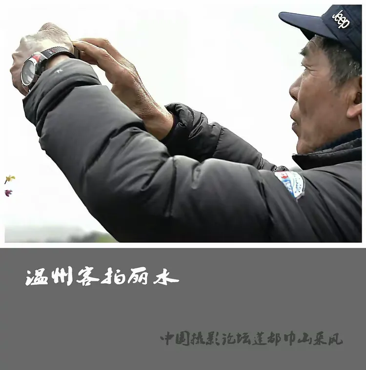 玩家必看教程“丽水都莱有没有挂	”真实开挂技巧分享-第1张图片