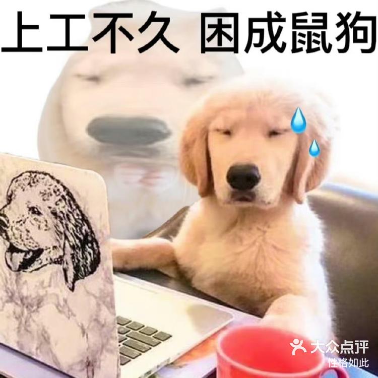 玩家点评“哈狗游十三道开挂教程”分享装挂步骤-第1张图片