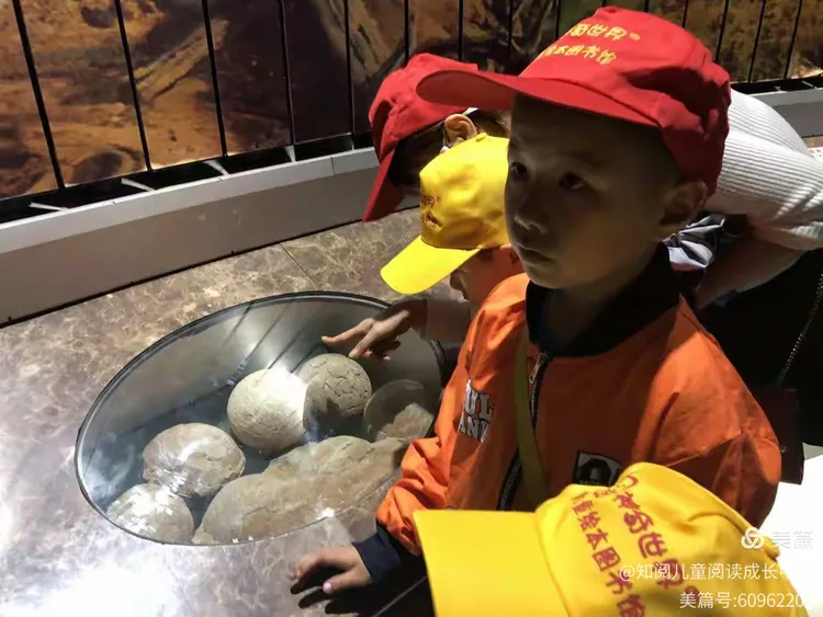 我来教教大家“皮皮跑胡子老输,有挂吗	”的确是有挂-第1张图片