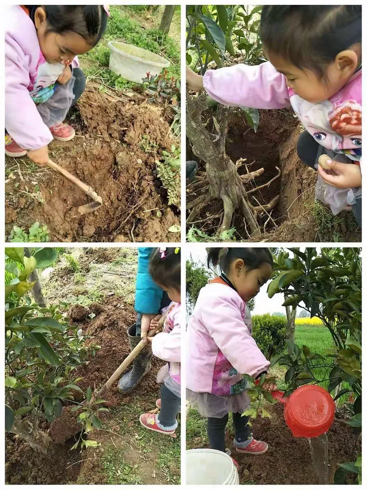 我来教教大家“皮皮跑胡子老输,有挂吗”的确是有挂-第2张图片