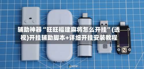 辅助神器“旺旺福建麻将怎么开挂”(透视)开挂辅助脚本+详细开挂安装教程-第1张图片