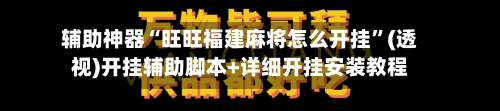 辅助神器“旺旺福建麻将怎么开挂	”(透视)开挂辅助脚本+详细开挂安装教程-第3张图片