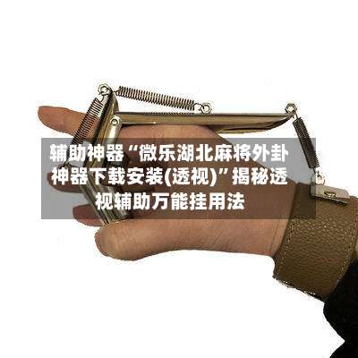 辅助神器“微乐湖北麻将外卦神器下载安装(透视)		”揭秘透视辅助万能挂用法-第1张图片