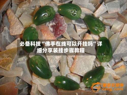 必备科技“佛手在线可以开挂吗		”详细分享装挂步骤教程-第2张图片