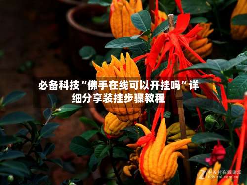 必备科技“佛手在线可以开挂吗”详细分享装挂步骤教程-第3张图片