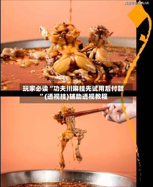 玩家必读“功夫川麻挂先试用后付款”(透视挂)辅助透视教程-第1张图片