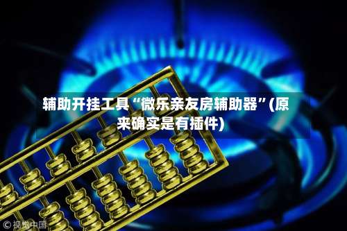 辅助开挂工具“微乐亲友房辅助器”(原来确实是有插件)-第3张图片
