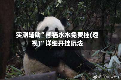 实测辅助”熊猫水水免费挂(透视)		”详细开挂玩法-第1张图片
