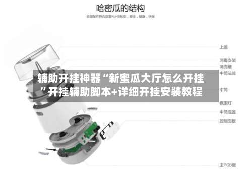 辅助开挂神器“新蜜瓜大厅怎么开挂	”开挂辅助脚本+详细开挂安装教程-第1张图片