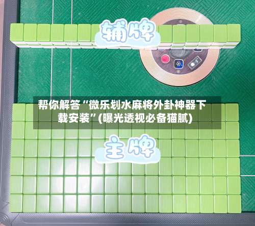 帮你解答“微乐划水麻将外卦神器下载安装”(曝光透视必备猫腻)-第3张图片