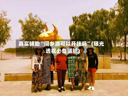 真实辅助“同乡游可以开挂吗”(曝光透视必备猫腻)-第3张图片