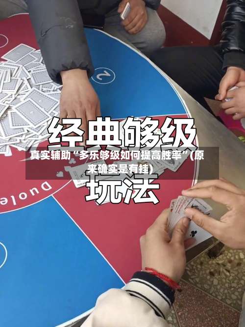 真实辅助“多乐够级如何提高胜率	”(原来确实是有挂)-第2张图片