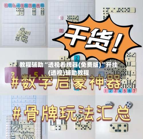教程辅助“透视看牌器(免费版)	”开挂(透视)辅助教程-第2张图片
