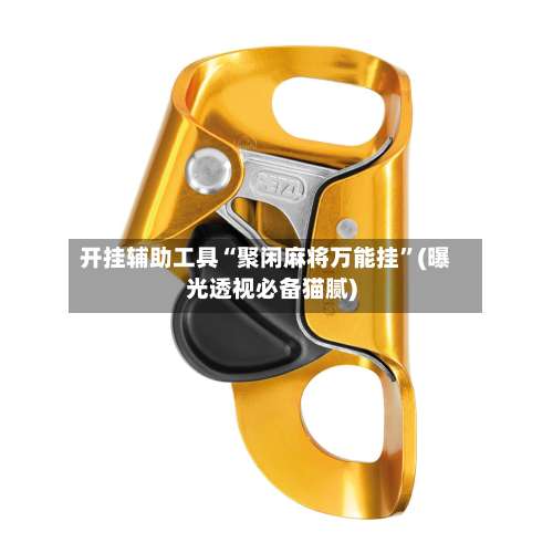 开挂辅助工具“聚闲麻将万能挂	”(曝光透视必备猫腻)-第1张图片