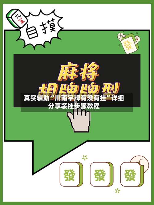 真实辅助“川南字牌有没有挂”详细分享装挂步骤教程-第2张图片